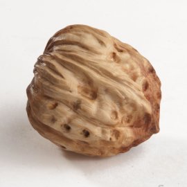 Тактильный можжевеловый грецкий орех, Леснушки